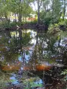 Bács-Kiskun megye - Kiskőrös