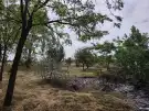 Bács-Kiskun megye - Kiskunfélegyháza
