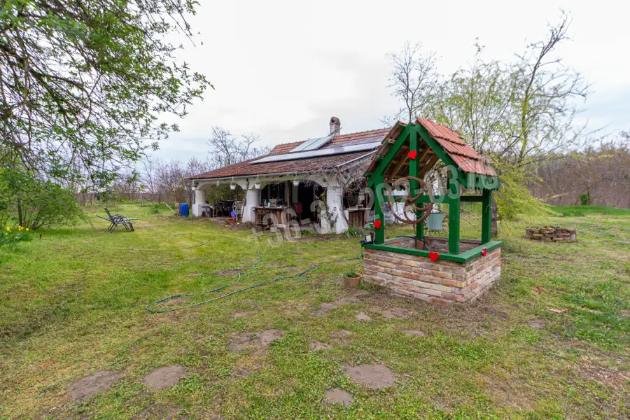 eladó tanya, Kiskunfélegyháza