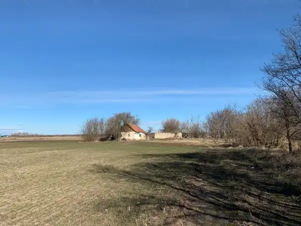 Eladó tanya, Kiskunfélegyháza 3 szoba 65 m² 5.9 M Ft