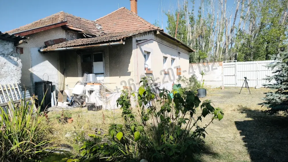 Csongrád megye - Kistelek