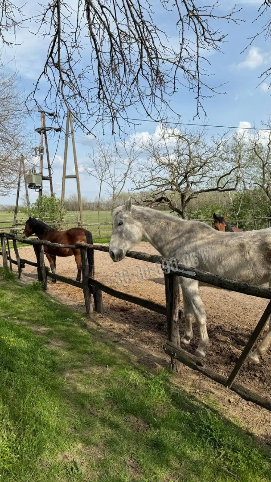 eladó tanya, Kunszentmiklós