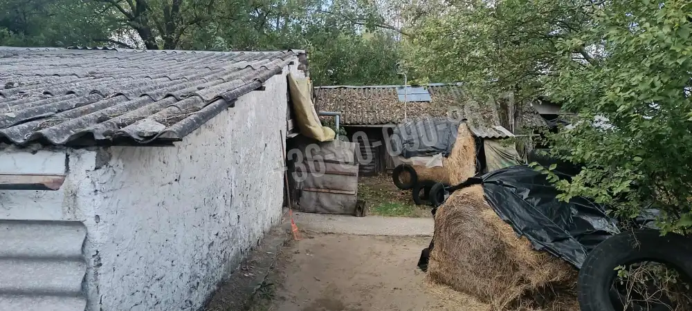 Bács-Kiskun megye - Kunszentmiklós