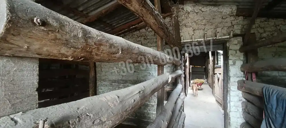 Bács-Kiskun megye - Kunszentmiklós