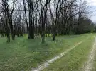 Bács-Kiskun megye - Lajosmizse