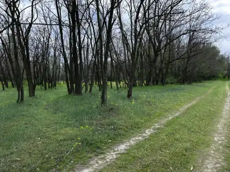 Eladó tanya, Lajosmizse 6 M Ft