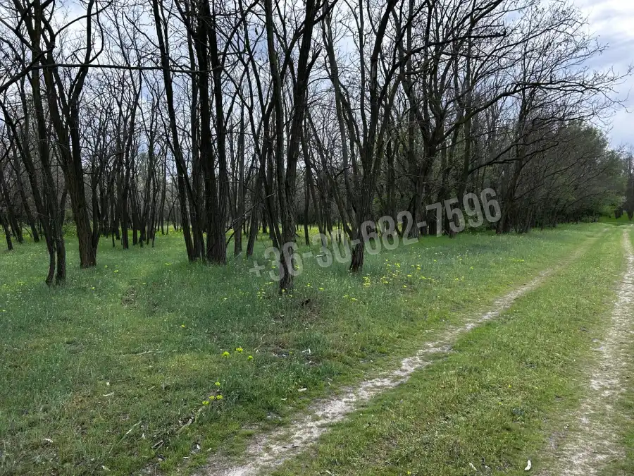 eladó tanya, Lajosmizse