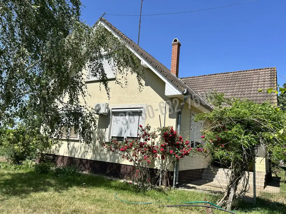 Bács-Kiskun megye - Lajosmizse