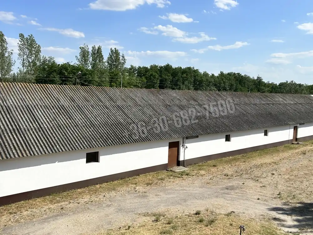 Bács-Kiskun megye - Lajosmizse