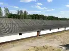 Bács-Kiskun megye - Lajosmizse