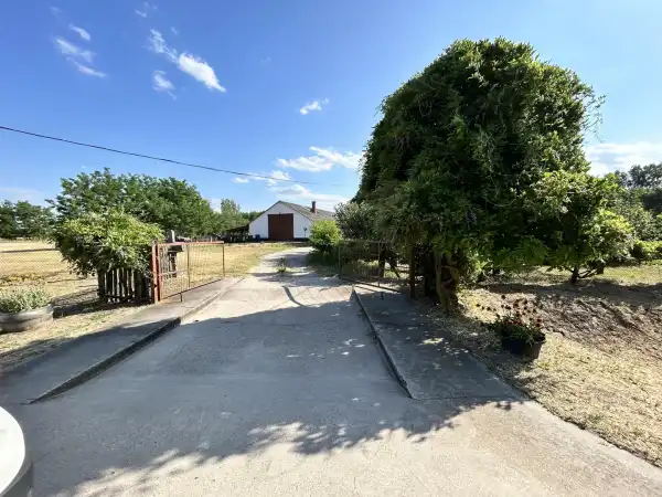 Eladó tanya, Lajosmizse 6 szoba 289 m² 190 M Ft