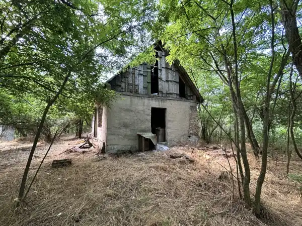 Eladó tanya, Lajosmizse 1 szoba 60 m² 22.9 M Ft