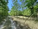 Bács-Kiskun megye - Lajosmizse