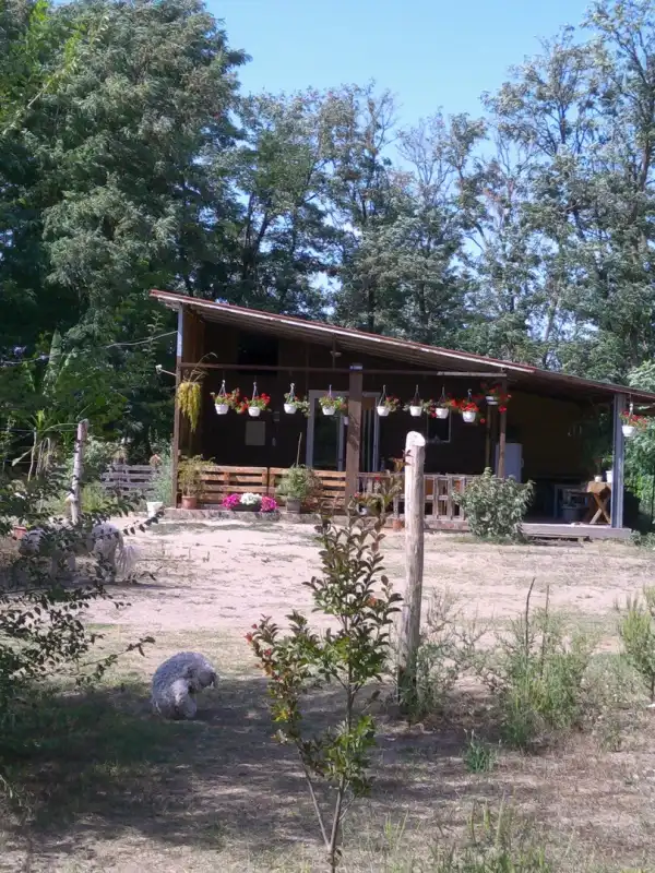 Eladó tanya, Lajosmizse 71 m² 54.5 M Ft