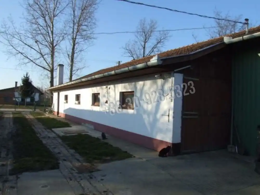 Békés megye - Mezőhegyes