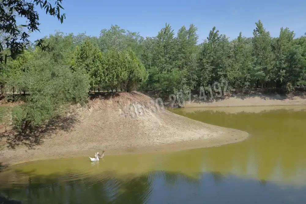 Csongrád megye - Ópusztaszer
