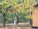 Komárom-Esztergom megye - Oroszlány