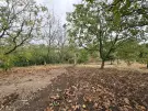 Komárom-Esztergom megye - Oroszlány