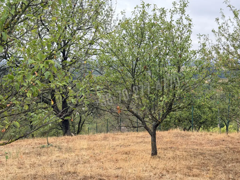Komárom-Esztergom megye - Oroszlány