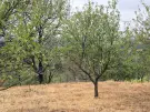 Komárom-Esztergom megye - Oroszlány