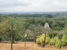 Komárom-Esztergom megye - Oroszlány