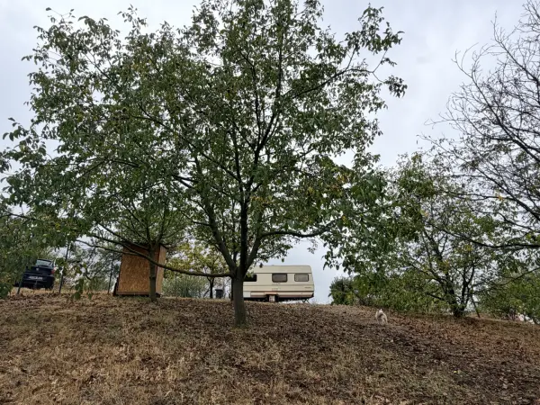 Eladó tanya, Oroszlány 1 szoba 10 m² 9.2 M Ft