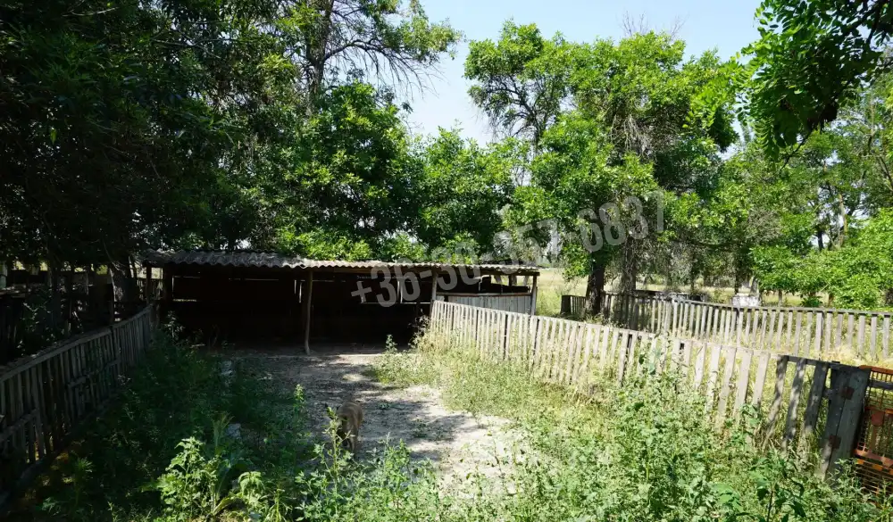 Csongrád megye - Sándorfalva