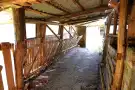 Csongrád megye - Sándorfalva