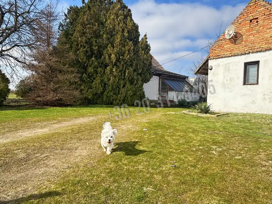 eladó tanya, Szatymaz