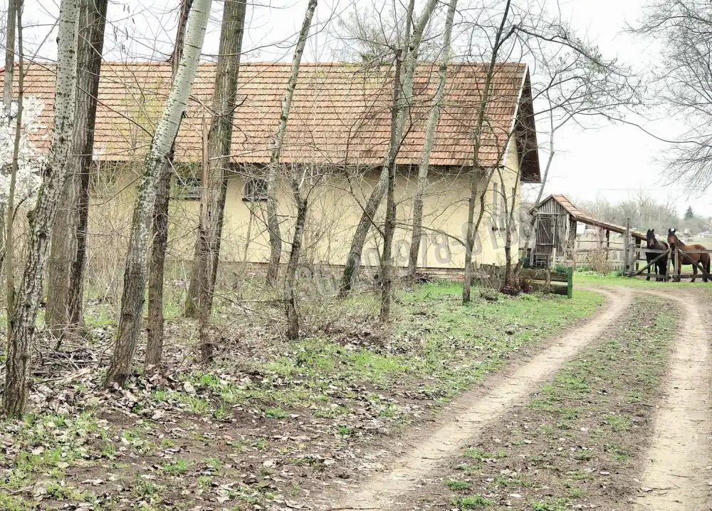 Csongrád megye - Szatymaz
