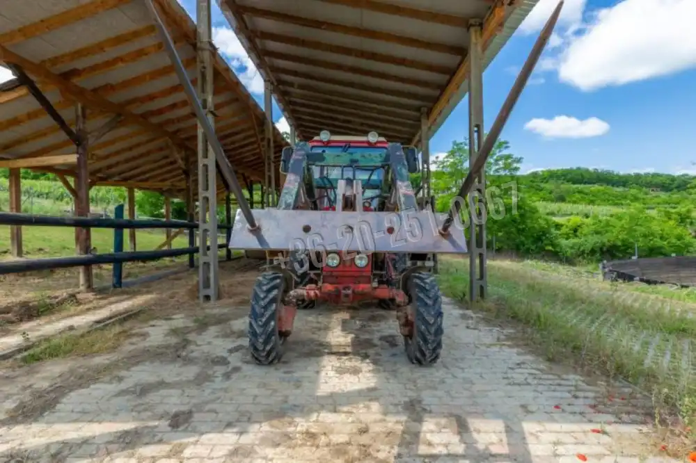 Tolna megye - Szekszárd