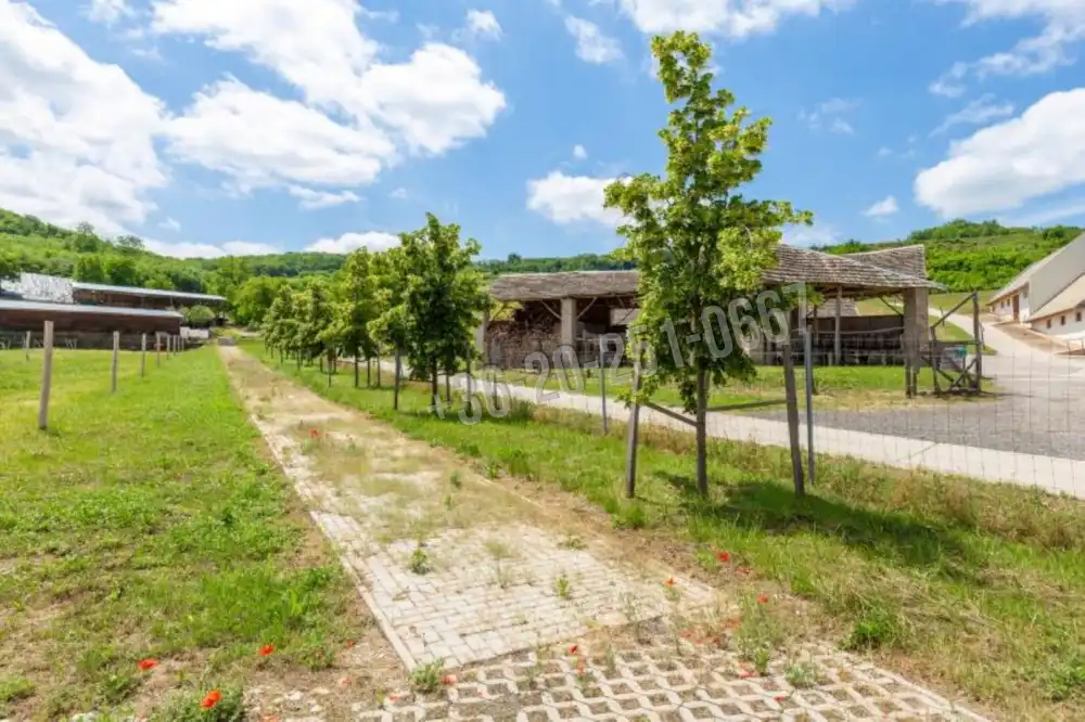 Tolna megye - Szekszárd