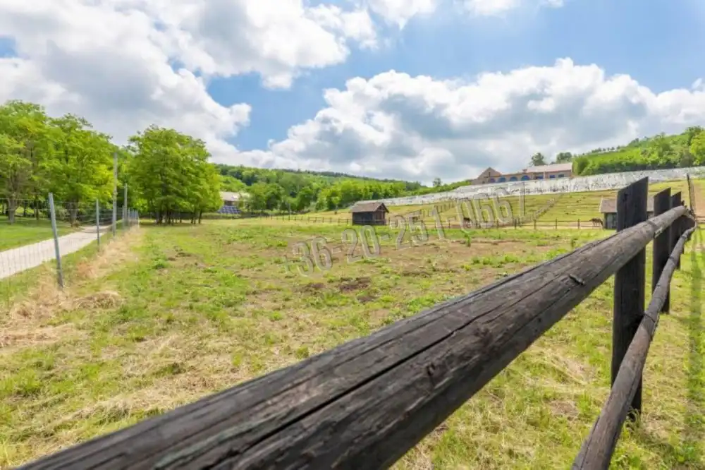 Tolna megye - Szekszárd