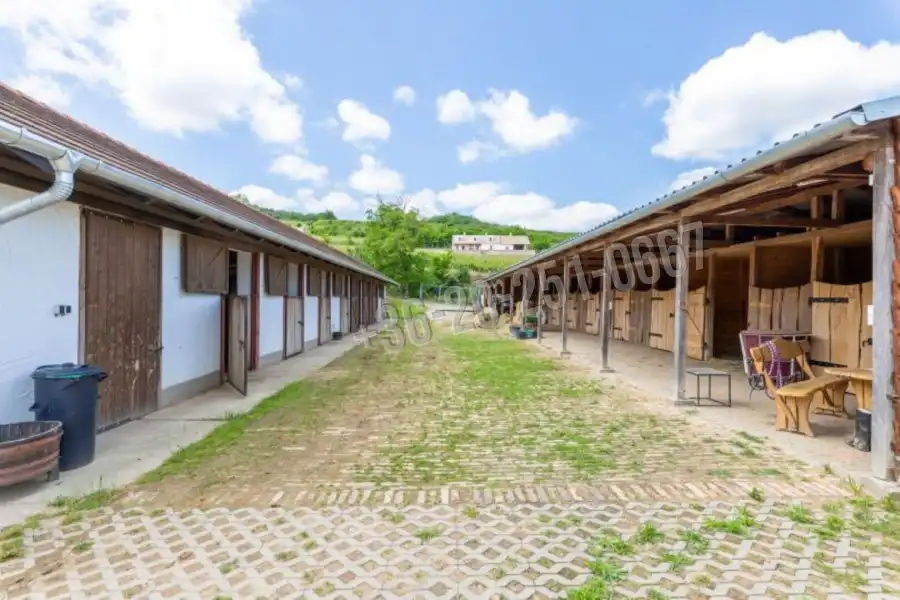 eladó tanya, Szekszárd