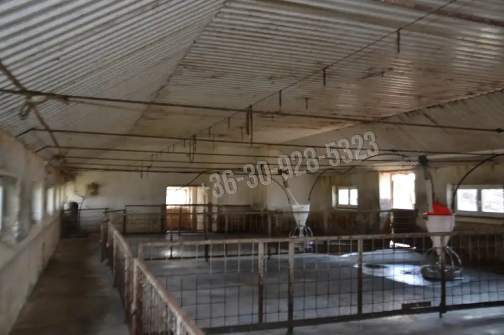 Jász-Nagykun-Szolnok megye - Szolnok