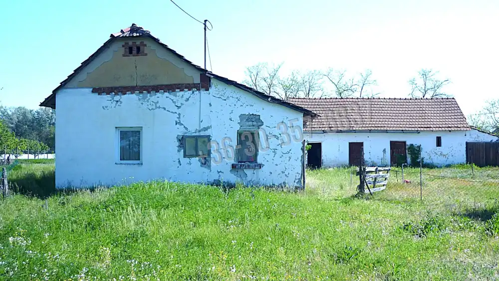 Csongrád megye - Zákányszék