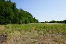 Csongrád megye - Zsombó