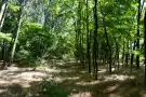 Csongrád megye - Zsombó