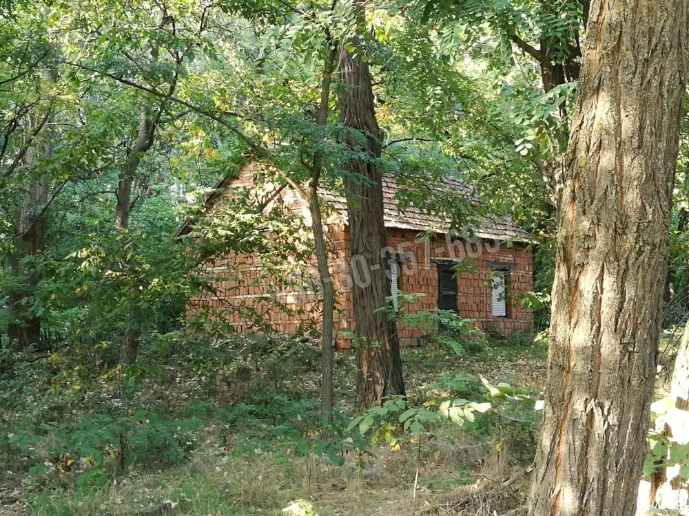 Csongrád megye - Zsombó