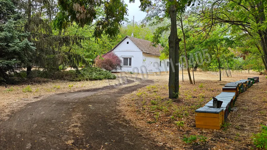 eladó tanya, Zsombó