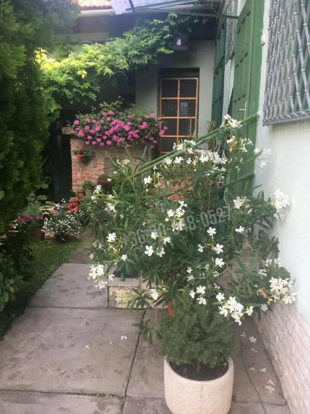 Békés megye - Békéscsaba