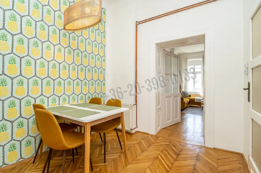 Budapest, IX. kerület - Rehabilitációs terület