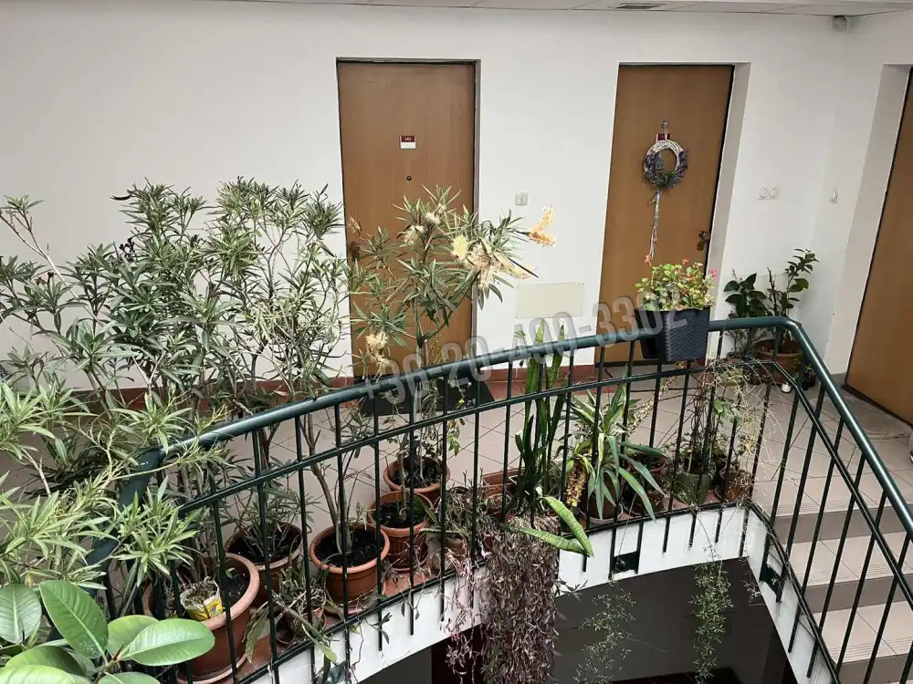 Budapest, IX. kerület - Rehabilitációs terület