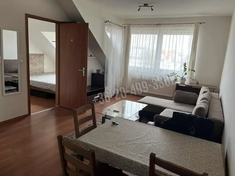 Budapest, IX. kerület - Rehabilitációs terület