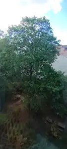 Budapest, VII. kerület - Erzsébetváros (Nagykörúton kívül)