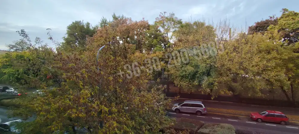 Budapest, VIII. kerület - Józsefváros – Ganznegyed