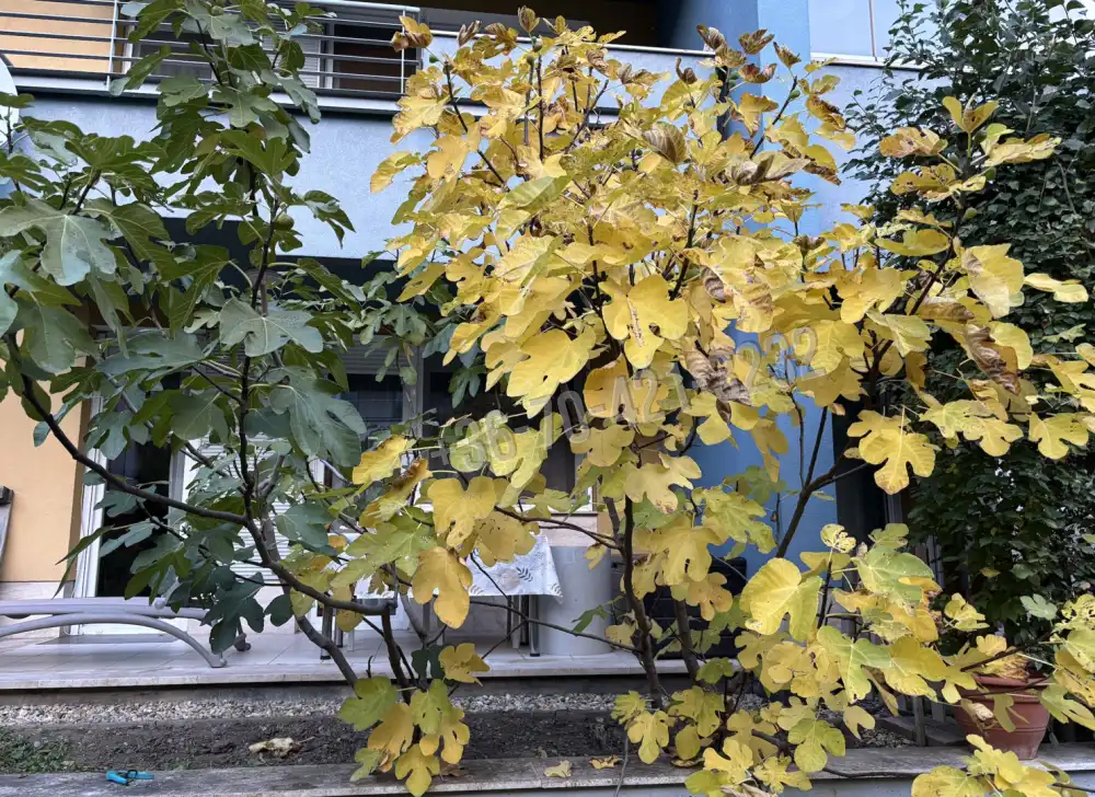 Budapest, XI. kerület - Kőérberek