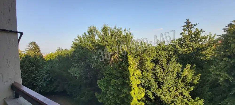 Budapest, XII. kerület - Budakeszierdő