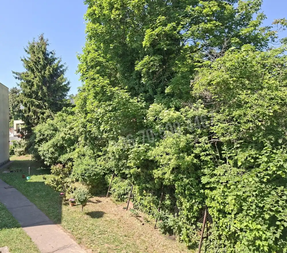 Budapest, XII. kerület - Budakeszierdő