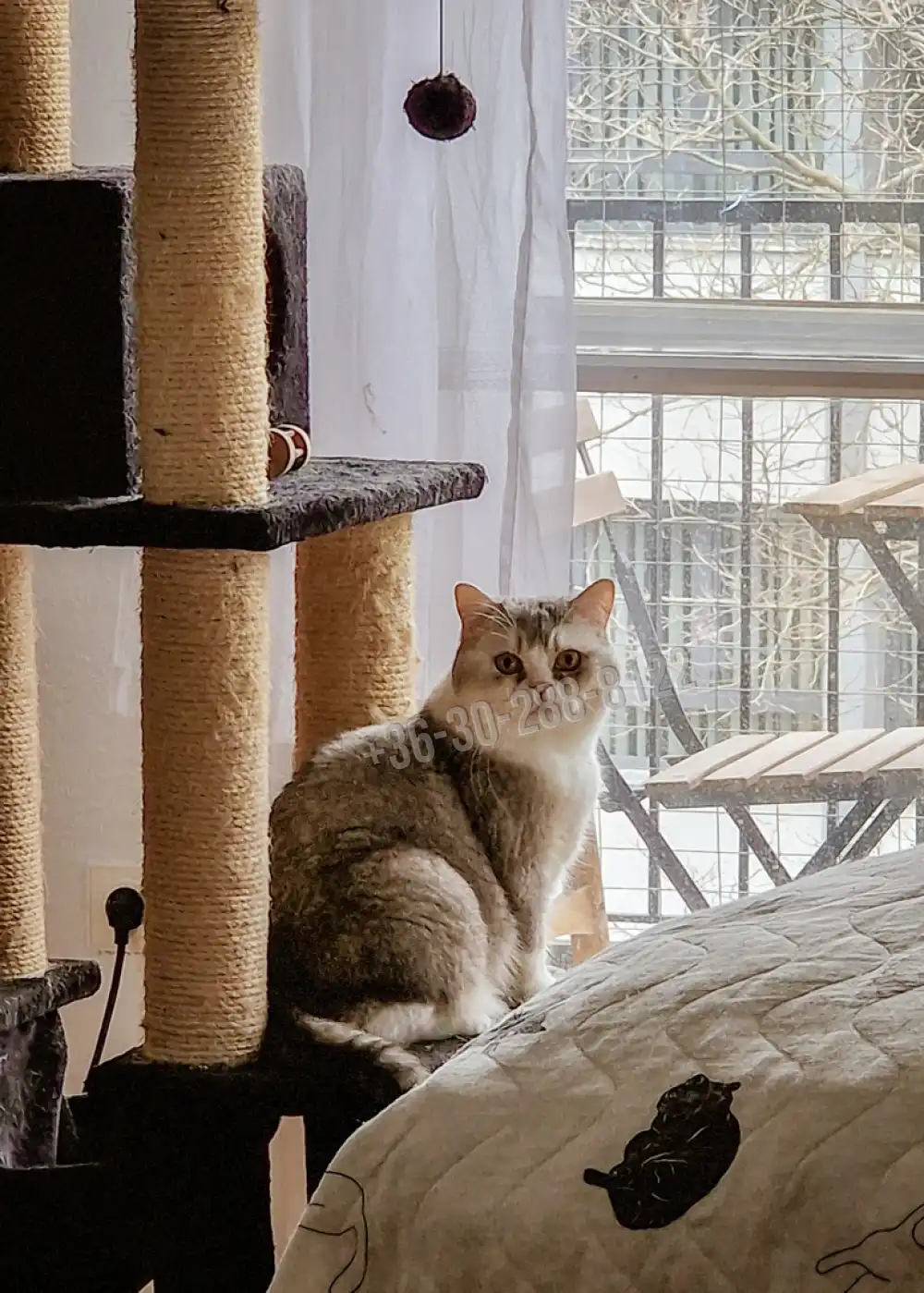 Budapest, XII. kerület - Németvölgy